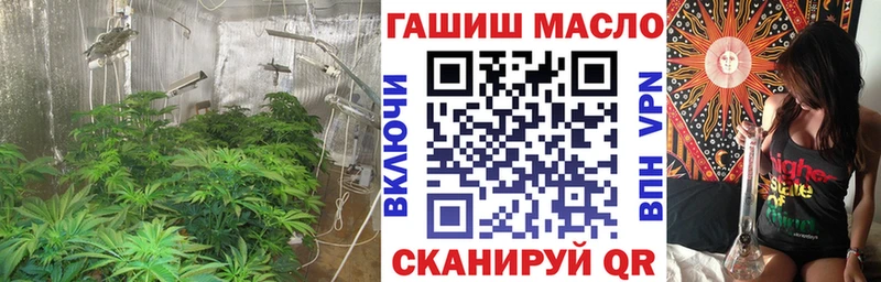 ТГК THC oil  где продают наркотики  Раменское 