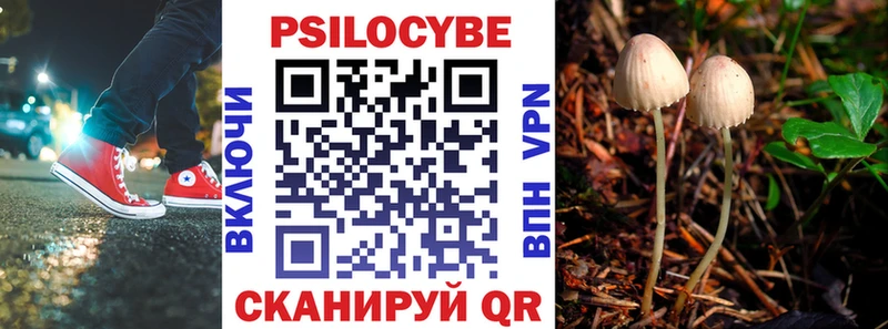 Псилоцибиновые грибы мицелий  закладки  Раменское 