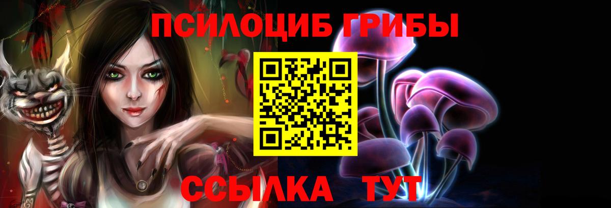 Псилоцибиновые грибы Psilocybe Раменское